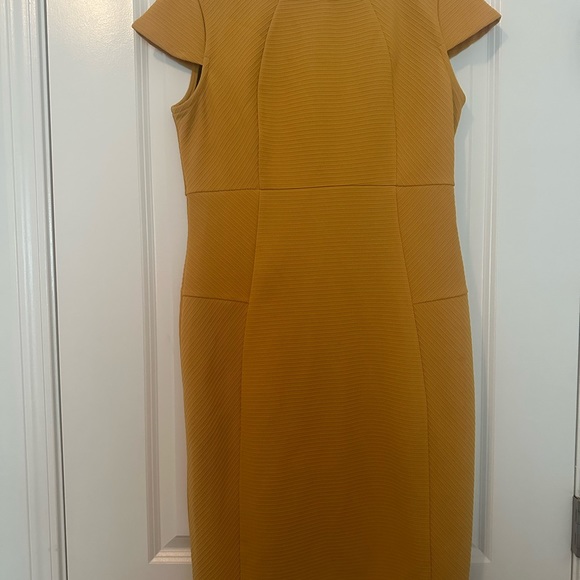 Cato Dress Mustard Women’s Size 12 Zip Back - Picture 2 of 6